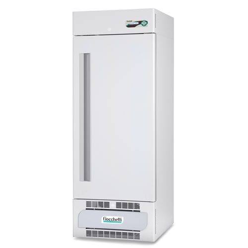 实验室冷柜 - LABOR 250 ECT-F PLUS - Fiocchetti Scientific - 橱柜式 / 强制空气冷却 / 自动除霜