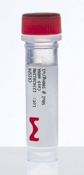 Cas9蛋白试剂 - CAS9MRNA-1EA - Merck - 用于DNA排列