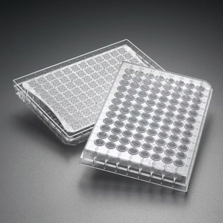 研究微孔板 - Multiscreen® - Merck - 细胞培养 / 过滤 / 过滤器