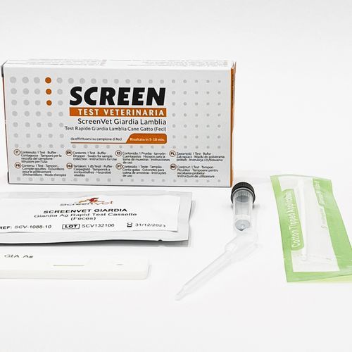 传染病快速诊断检测 - 984705778 - SCREEN ITALIA - 兽用 / 抗原 / 肠兰伯氏鞭毛虫