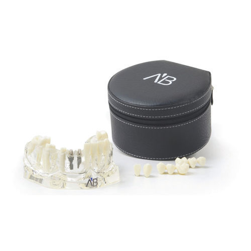 颌骨解剖模型 - TLJ  - A.B. Dental Devices - 牙移植术 / 塑料 / 透明