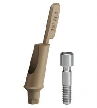 钛种植体基台 - B&B DENTAL - PEEK / 塑料 / 内部