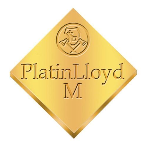 金属牙科材料 - PlatinLloyd® M - BEGO - 合金 / 用于牙桥 / 用于牙冠