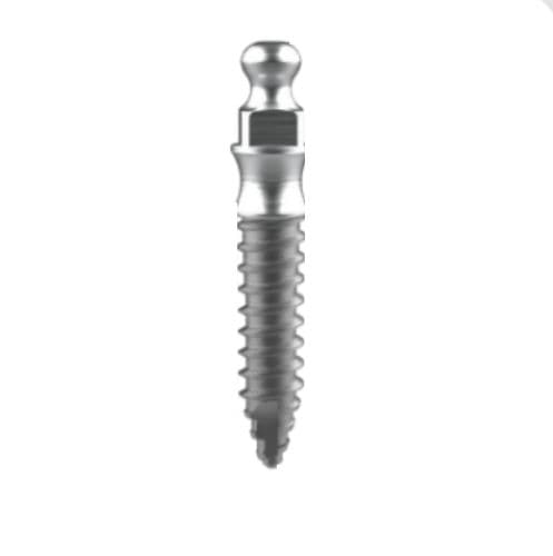 锥形微型植入物 - BOB series - BIOTEM.Co.,Ltd   - 钛 / 锥形 / 球形