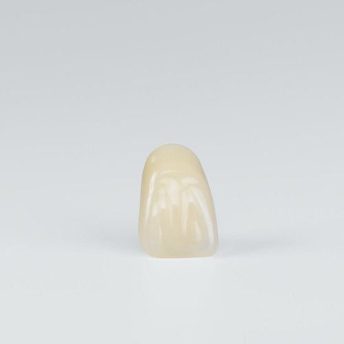 丙烯塑料假牙 - Preference Acrylic - Candulor - 后牙 / 后牙
