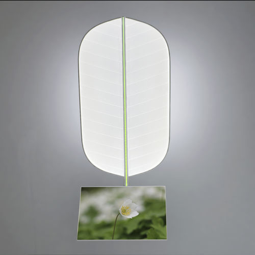天花板照明 - Leaf with monitor - D-TEC - 用于医院 / 用于兽医诊所 / 美容医疗