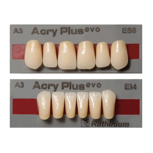 丙烯塑料假牙 - Acry Plus EVO - DENTAL MANUFACTURING S.p.A. - Ruthinium Group  /登士柏西诺德牙科产品 - 后牙 / 后牙