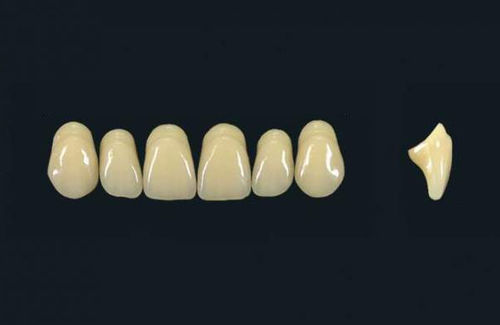 亚克力聚合物材质假牙 - TRIBOS 501  T66-UJ-C2 - GEBDI Dentalproducts GmbH   - 后牙