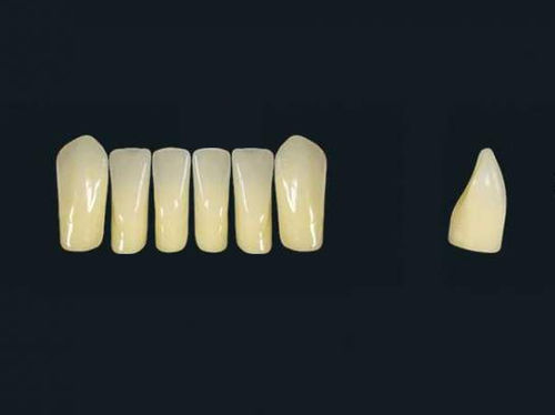 亚克力聚合物材质假牙 - TRIBOS 501 LV1-LJ-C2 - GEBDI Dentalproducts GmbH   - 后牙