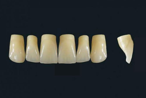 亚克力聚合物材质假牙 - TRIBOS 501 VR43-UJ-C3 - GEBDI Dentalproducts GmbH   - 后牙