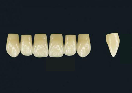 亚克力聚合物材质假牙 - TRIBOS 501 VT76-UJ-C2 - GEBDI Dentalproducts GmbH   - 后牙