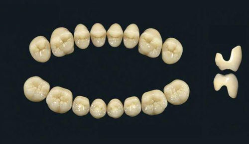亚克力聚合物材质假牙 - TRIBOS 501 C  SLA-OK-B1 - GEBDI Dentalproducts GmbH   - 后牙
