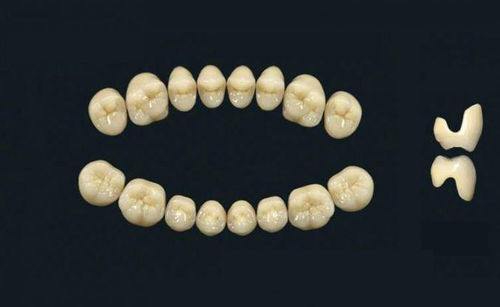 亚克力聚合物材质假牙 - TRIBOS 501 C SMA-UJ-B1 - GEBDI Dentalproducts GmbH   - 后牙