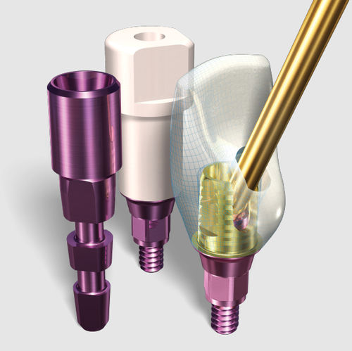 钛种植体基台 - SMARTbase™ - Implant Direct Europe - 内六角形 / 直线型 / CAD/CAM