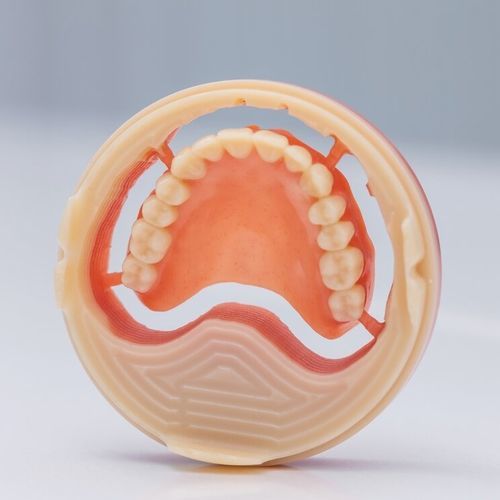 牙龈解剖模型 - Ivotion® - Ivoclar Vivadent/义获嘉伟瓦登特 - 假牙 / 颌骨 / 牙科