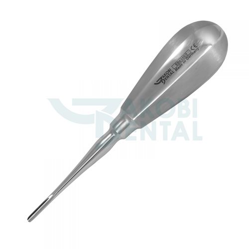 直线型牙挺 - EBE559/2 - Jakobi Dental GmbH - 不锈钢 / Bein型
