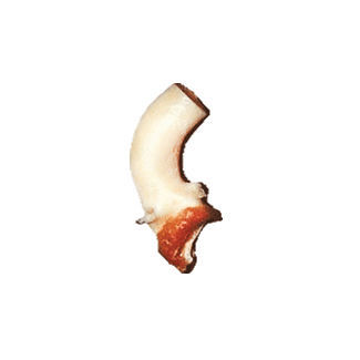 升主动脉生物人工血管 - CardioGraft® - Lifenet Health   - 同种异体移植
