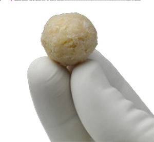 同种异体移植人工骨材料 - ViviGen®  - Lifenet Health   - 骨外科 / 可延展