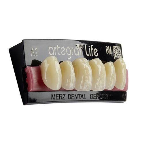 亚克力假牙 - artegral®life - Merz Dental GmbH   - 后牙 / 后牙 / 半透明