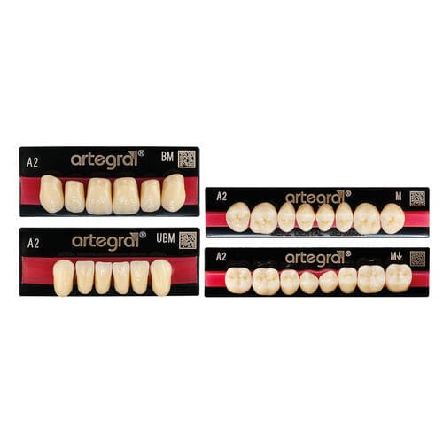 亚克力假牙 - artegral®  - Merz Dental GmbH   - 后牙 / 后牙 / 预制