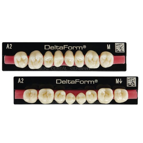 亚克力假牙 - Delta Form® - Merz Dental GmbH   - 后牙 / 后牙