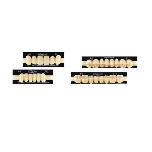 丙烯塑料假牙 - artVeneer® - Merz Dental GmbH   - 亚克力 / 切齿 / 后牙