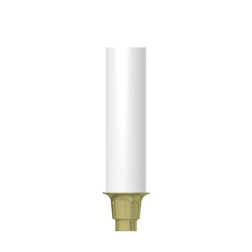 塑料种植体基台 - CN-GP010 - MIS Implants Technologies Ltd.   - 锥形 / 直线型