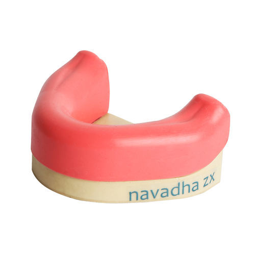下颚解剖模型 - NA24B  - Navadha Enterprises   - 牙龈 / 牙移植术 / 教学
