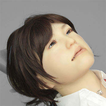 口腔护理医学教学模型 - DENTAROID - Nissin Dental Products Inc.  