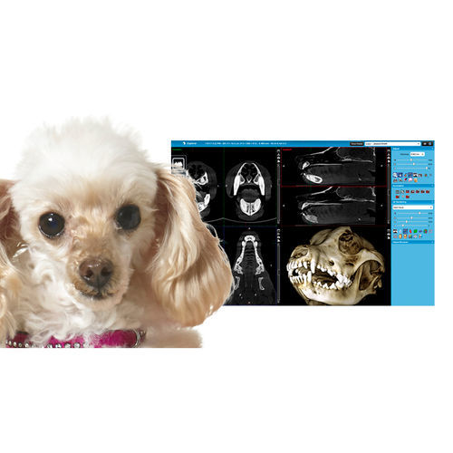 查看软件 - Romexis® Viewer - Planmeca/普兰梅卡 - 医用 / 临床 / PET