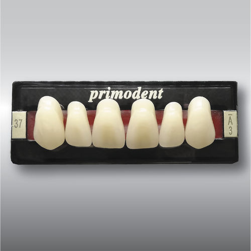 丙烯塑料假牙 - PRIMODENT  - POLIDENT d.o.o.   - 后牙 / 后牙