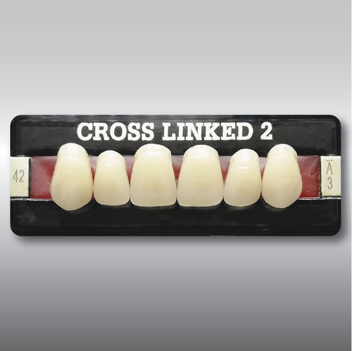 丙烯塑料假牙 - CROSS LINKED 2  - POLIDENT d.o.o.   - 后牙 / 后牙