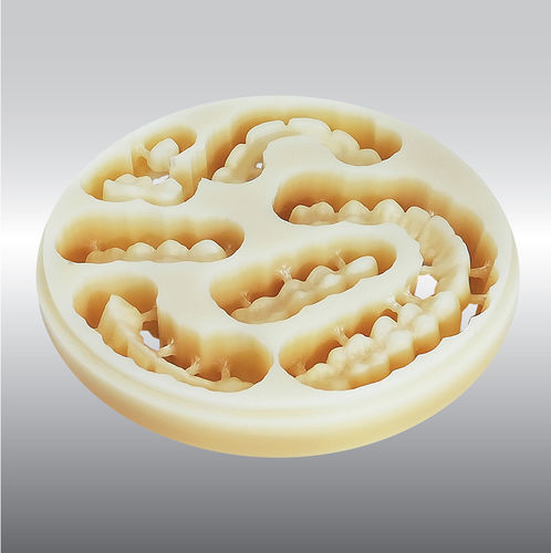 亚克力牙科材料 - DISC multilayer - POLIDENT d.o.o.   - CAD/CAM / 用于牙冠 / 临时