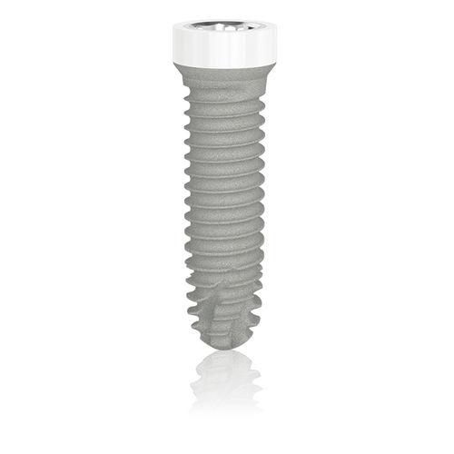 圆锥形牙齿植入物 - Z1® Infinity - TBR Implants Group - 氧化锆 / 内八角形 / 螺杆