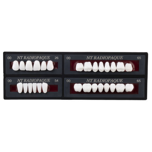 假牙 - Nt Radiopaque - TOROS DENTAL