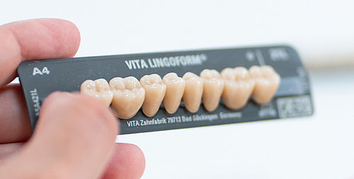 复合材料假牙 - VITAPAN® LINGOFORM - VITA Zahnfabrik H. Rauter GmbH & Co.KG  /德国维他公司 - 后牙
