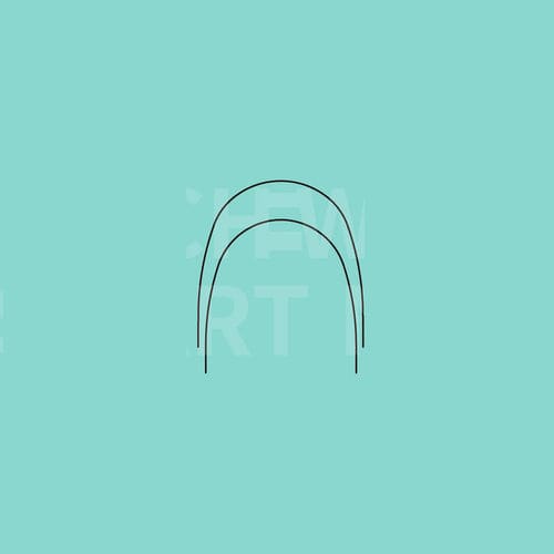 长方形矫正线材 - SMART - WORLD BIO TECH   - 圆形 / NiTi