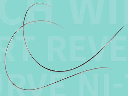 NiTi矫正线材 - SMART REVERSE CURVE - WORLD BIO TECH  