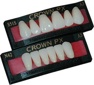 树脂假牙 - CROWN PX  - YAMAHACHI DENTAL MFG., CO.   - 后牙