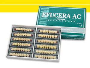 丙烯塑料假牙 - EFUCERA AC  - YAMAHACHI DENTAL MFG., CO.   - 后牙