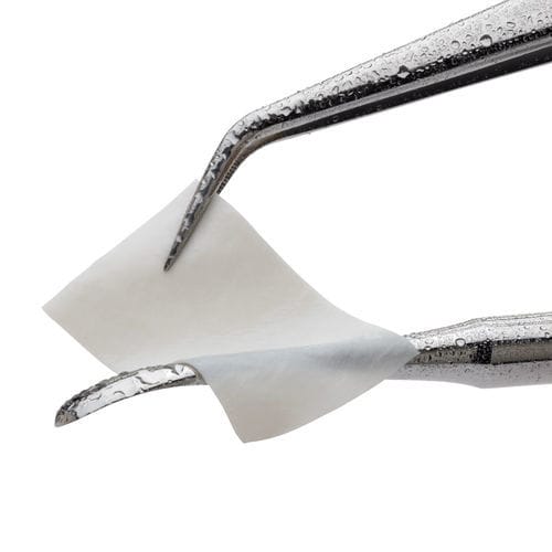 牙科手术组织基质 - CopiOs® - Zimmer Dental - 同种异体移植 / 异种移植
