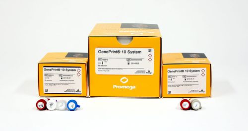 医学研究快速诊断套装 - GenePrint® 10  - Promega France/普洛麦格 - 用于鉴定分析 / 基因 / 细胞