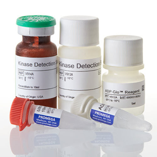 医学研究快速诊断套装 - ADP-Glo™ - Promega France/普洛麦格 - 生物活性 / ATP