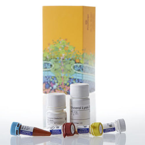 血清试剂套装 - Triglyceride-Glo™ - Promega France/普洛麦格 - 组织 / 磷酸盐 / 脂肪酶