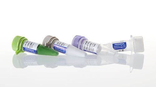 DNA聚合酶试剂 - GoTaq® G2 - Promega France/普洛麦格 - 抗体 / Taq-DNA聚合酶 / 用于研究