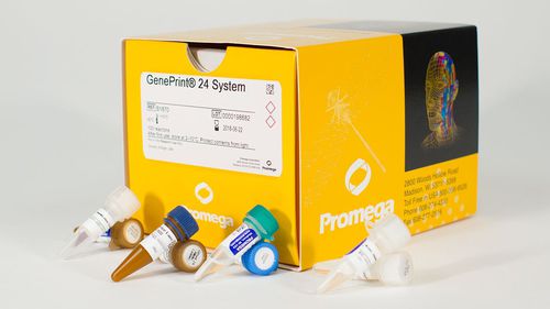 溶液试剂套装 - GenePrint® 24  - Promega France/普洛麦格 - 染色 / 组织 / 核酸