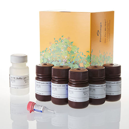 染色试剂套装 - QuantiFluor® ONE - Promega France/普洛麦格 - 核酸 / 用于微生物学