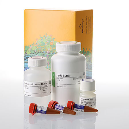 溶液试剂套装 - DC6051 - Promega France/普洛麦格 - 缓冲溶液 / 用于研究 / 通过毛细管电泳