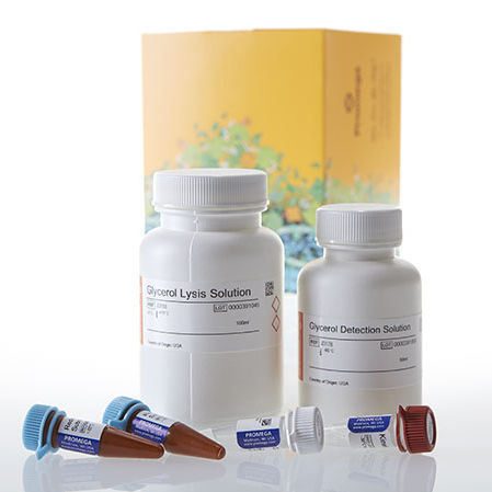 血清试剂套装 - Glycerol-Glo™ - Promega France/普洛麦格 - 组织 / 生物样本 / 磷酸盐