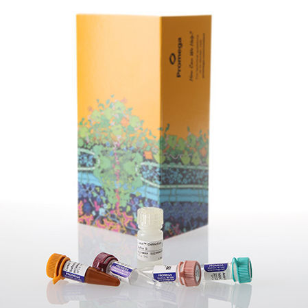 研究快速诊断套装 - Lumit® - Promega France/普洛麦格 - 细胞 / 免疫分析